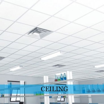 Ceiling